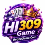 HI 309 Game